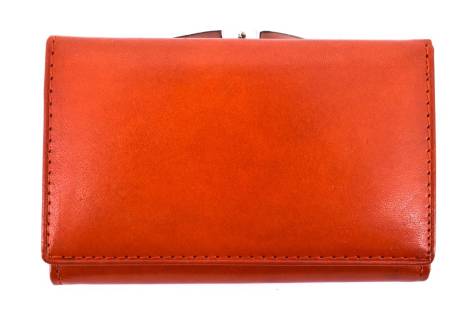 Dámská kožená peněženka Arteddy