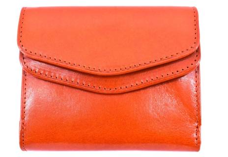 Dámská kožená peněženka Arteddy