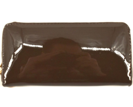 Dámská / dívčí lakovaná peněženka  pouzdrového typu