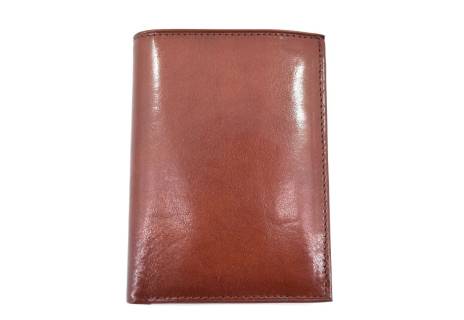 Pánská kožená peněženka Arteddy