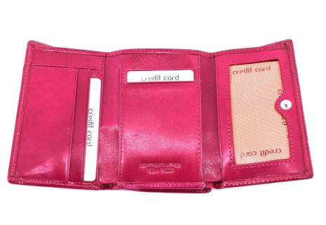 Dámská kožená peněženka Arteddy