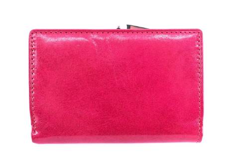 Dámská kožená peněženka Arteddy