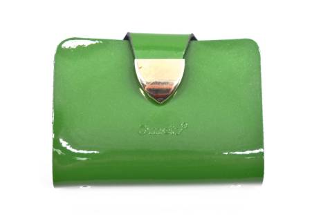 Dámská kožená  dokladovka  k uložení karet a dokladů Omely