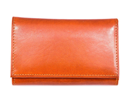 Dámská kožená peněženka Arteddy