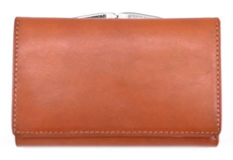 Dámská kožená peněženka Arteddy